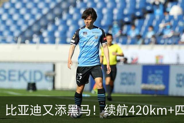 比亚迪又添黑马！续航420km+四轮独悬，还带激光雷达，6.59万起！